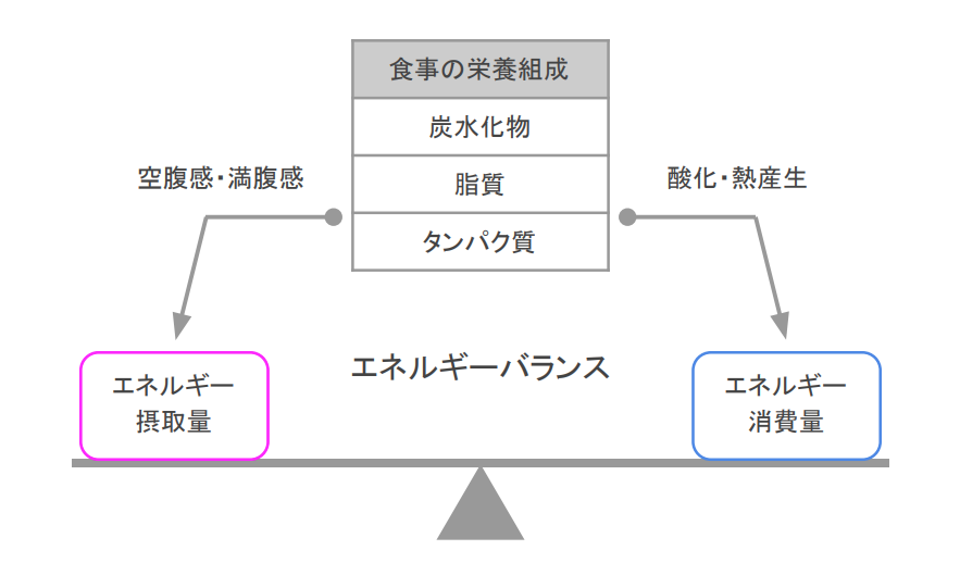 e38380e382a4e382a8e38383e38388e381abe3818ae38191e3828be382bfe383b3e38391e382afe8b3aae381aee69182e58f96e382bfe382a4e3839fe383b3e382b0 ダイエットにおけるタンパク質の摂取タイミングとは