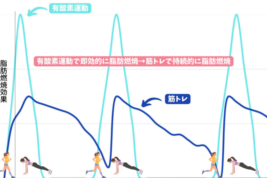 ダイエットにおける有酸素と筋トレの効果を比較