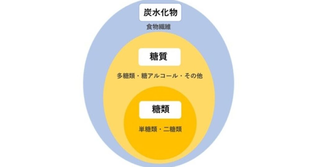 ダイエットにおける炭水化物と糖質の違いとは？