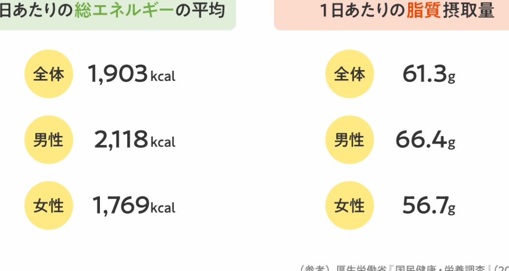 ダイエットにおける脂質の理想的な摂取量とは何グラムか