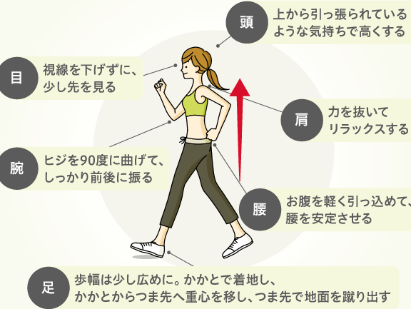 ダイエットには何歩のウォーキングが効果的か