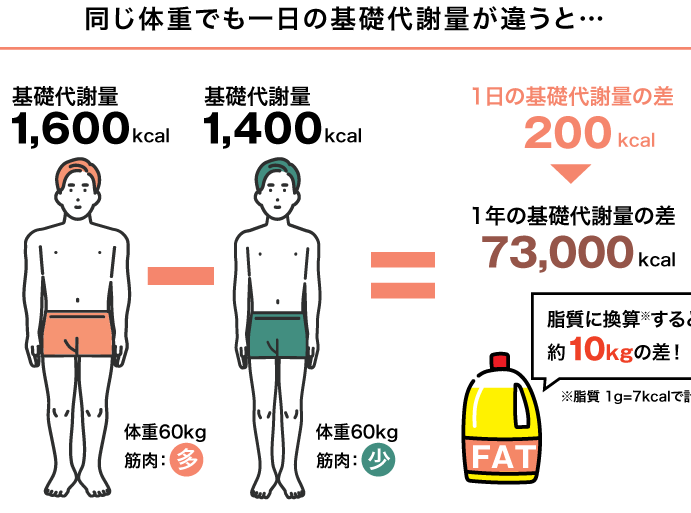 e38380e382a4e382a8e38383e38388e381afe381a9e3828ce3818fe38289e38184e381a7e797a9e3819be3828befbc9fe79baee5ae89e381a8e3839de382a4e383b3 ダイエットはどれくらいで痩せる?目安とポイント解説