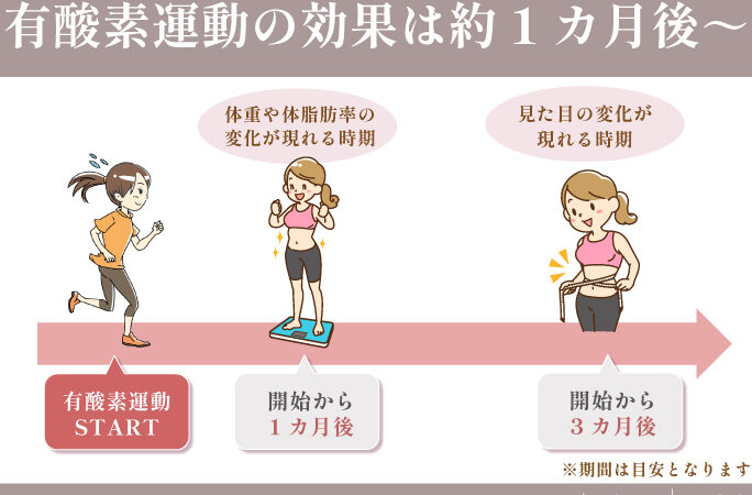e38380e382a4e382a8e38383e38388e58ab9e69e9ce381afe4bd95e697a5e5be8ce381abe78fbee3828ce3828befbc9fe69c9fe99693e381a8e3839de382a4e383b3 ダイエット効果は何日後に現れる?期間とポイント解説