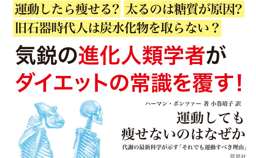 e38380e382a4e382a8e38383e38388e5a4b1e69597-e381aae38293je381aee4bd93e9a893e8ab87e381a8e69599e8a893e381bee381a8e38281 ダイエット失敗 なんJの体験談と教訓まとめ