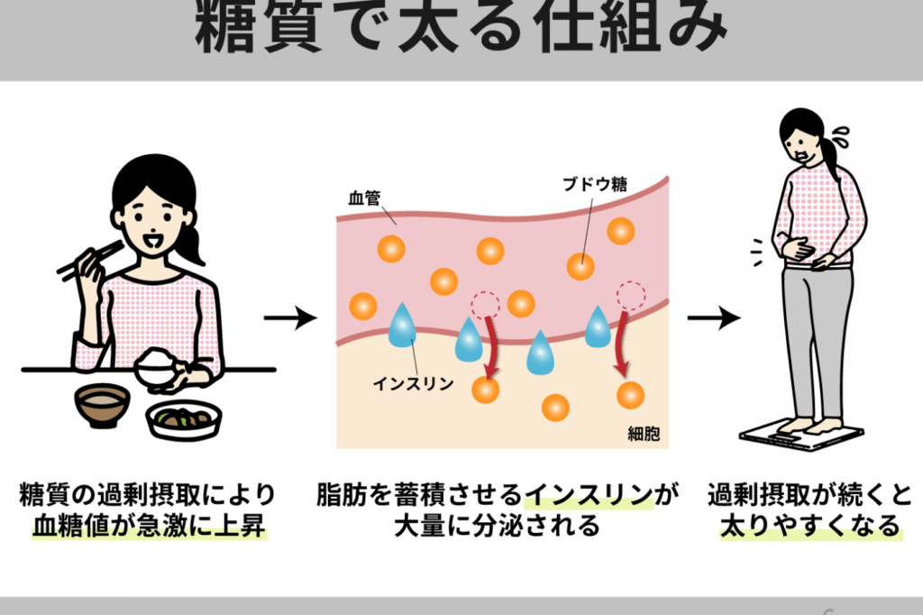 ダイエット糖質どれくらいの摂取が理想か解説