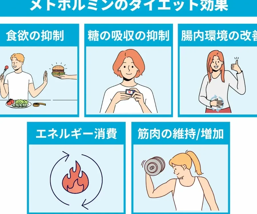 メトホルミンダイエットを成功させるための飲むタイミング