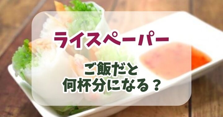 ライスペーパーダイエットで1日に食べるべき枚数は？