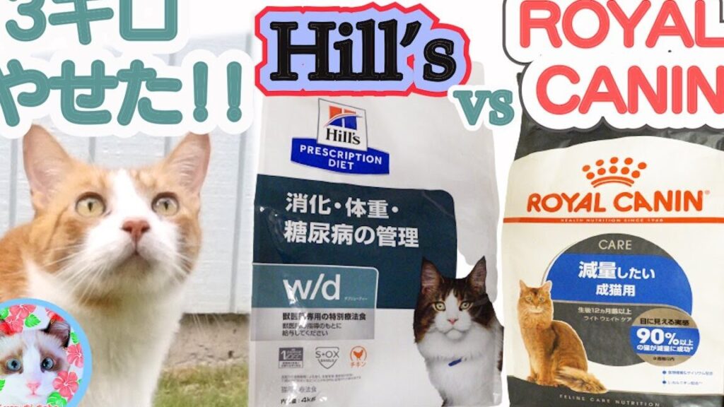 ロイヤルカナンとサイエンスダイエット どっちが猫に最適か